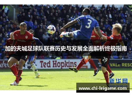 加的夫城足球队联赛历史与发展全面解析终极指南